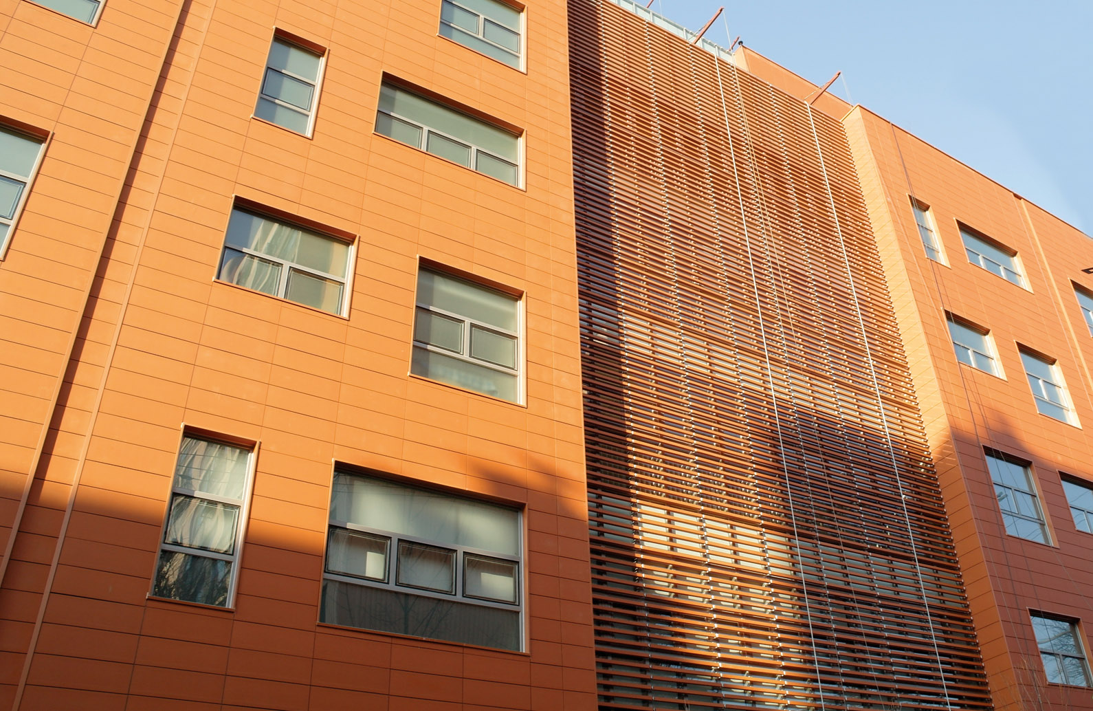 韓国、Shingoo大学