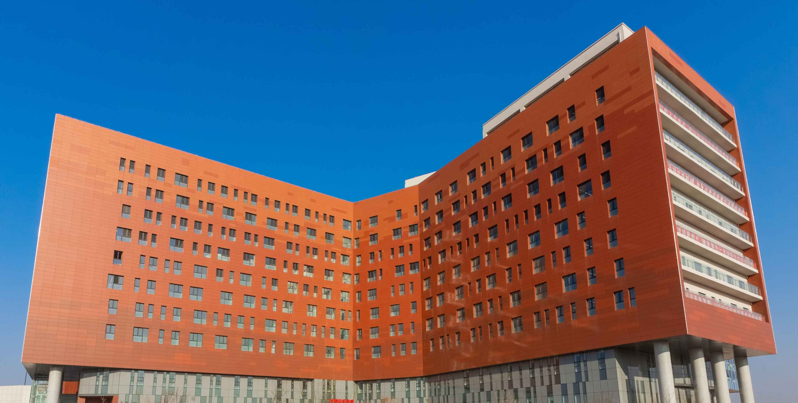 建物のテラコッタ外装全体外観.jpg