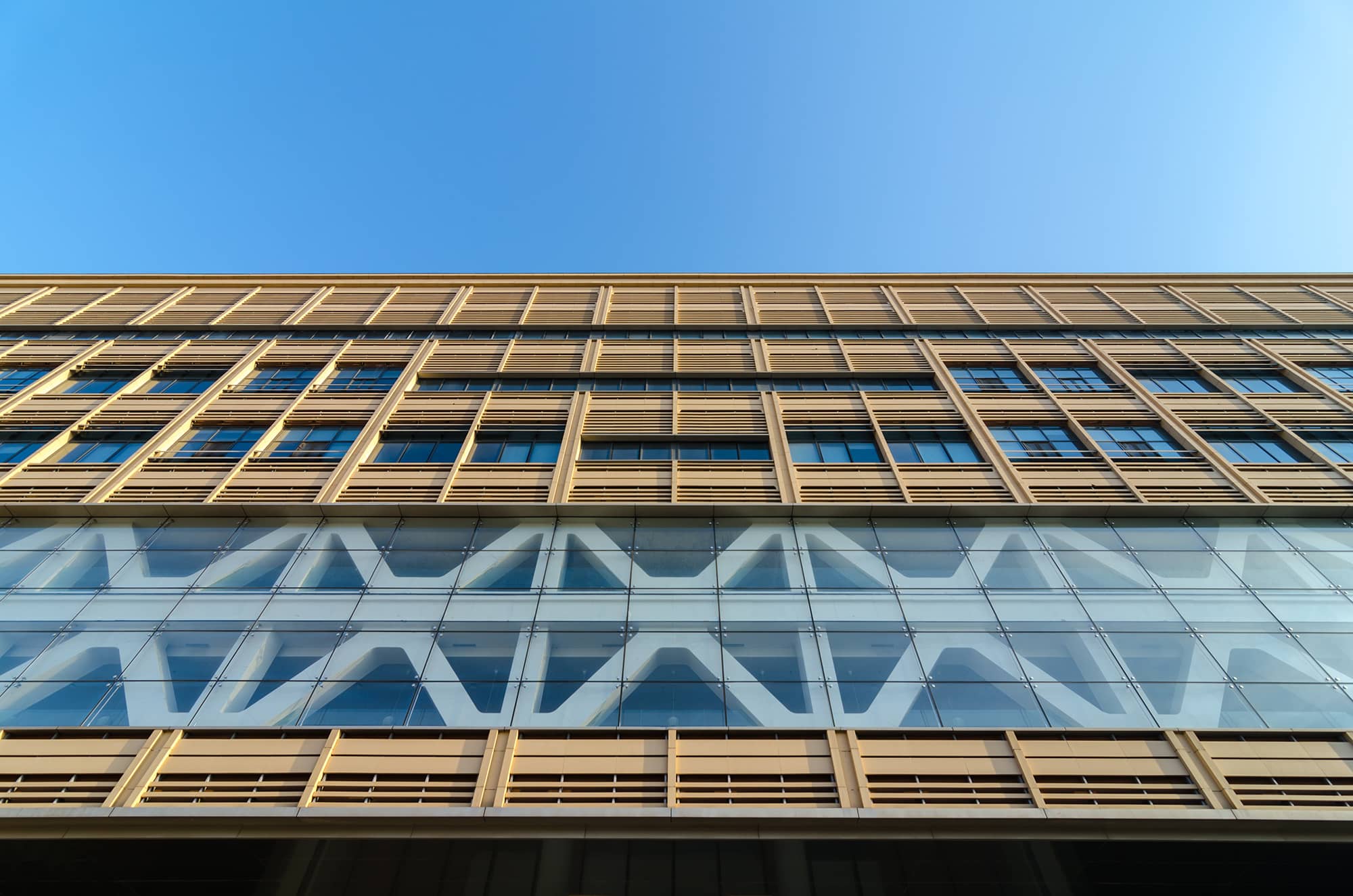 図書館ベージュテラコッタ外観.jpg